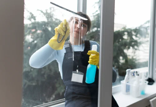 Nettoyage de vitres intérieures et extérieures à Flayat